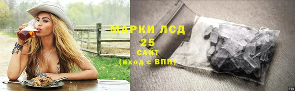 прущие грибы Балахна