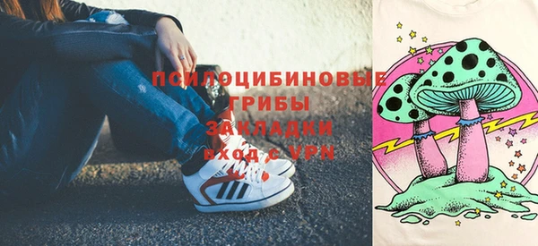 прущие грибы Балахна