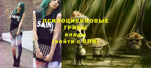 прущие грибы Балахна